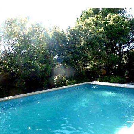 Studio En Rez-De-Jardin Arbore Avec Acces Piscine Et Clim Villeneuve-lès-Avignon Exterior foto