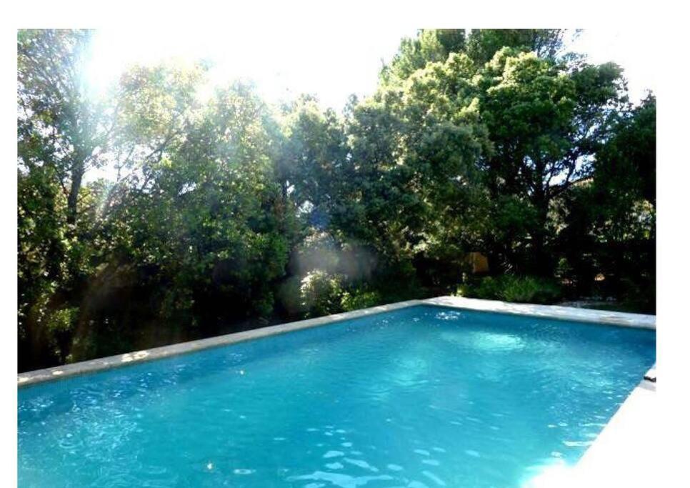 Studio En Rez-De-Jardin Arbore Avec Acces Piscine Et Clim Villeneuve-lès-Avignon Exterior foto